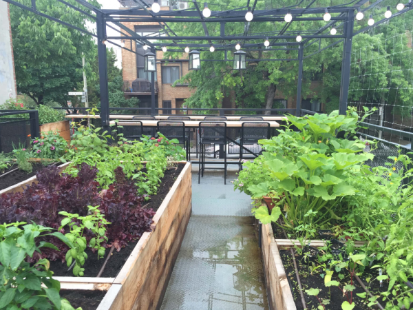 Cafe dengan area berkebun sayur dan herba